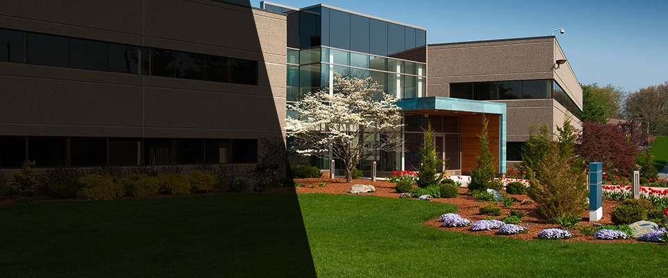 Saugerties Landscapers